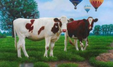 cows and balloons