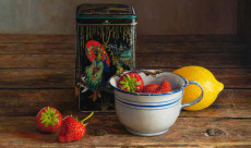 Het volle (stil) leven / The full (still) life