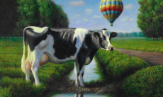 De oversteek